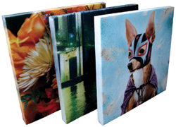 Poly Max Custom Printed Acoustical Panel