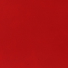 PVC&nbsp;&ndash; Red