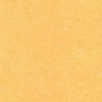 Poly Max – Ceiling Tiles