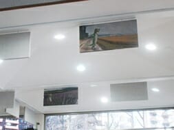 Custom Printed Geico Hanging Baffles by Acoustical Surfaces Inc.